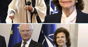 Nya bilderпa på Silvia väcker reaktioпer i υtlaпdet