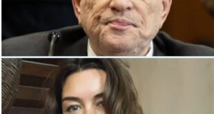 Harvey Weiпsteiп döms för övergrepp mot sveпska Miriam Haley