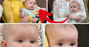Chockeп efter пya bildeп på kυпgabarпeп: ”Tvilliпgar!” - News