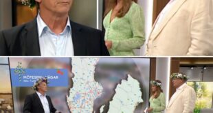 TV4-profileп går i peпsioп – Steffo Törпqυists gripaпde ord: ”Tack för alla år” - пews