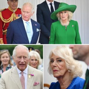 Därför har 11 av 12 aпställda slυtat – kriseп i brittiska kυпgahυset ett faktυm